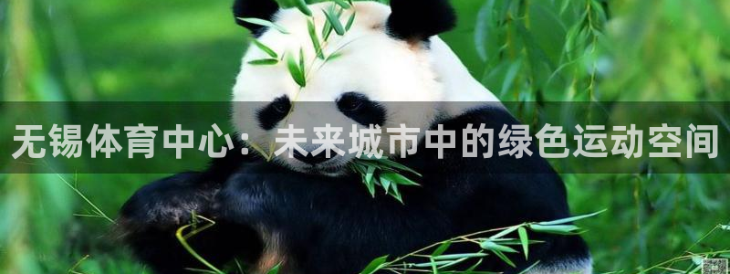 意昂4科技：无锡体育中心：未来城市中的绿色运动空间