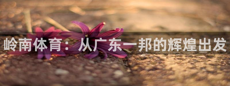 意昂4官方：岭南体育：从广东一邦的辉煌出发