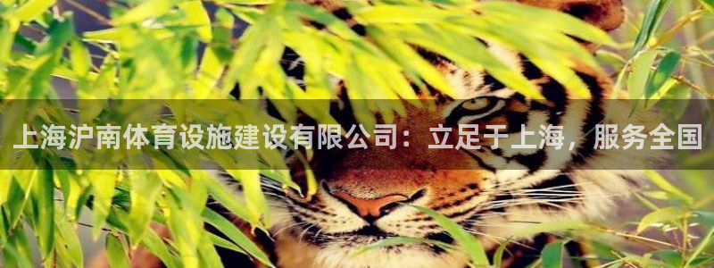 意昂体育4平台是正规平台吗