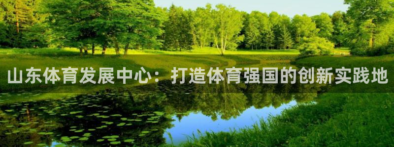 意昂4集团logo：山东体育发展中心：打造体育强国的