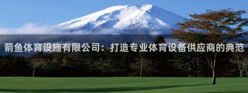 意昂4娱乐：箭鱼体育设施有限公司：打造专业体育设备供