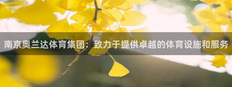 意昂体育4招商：南京奥兰达体育集团：致力于提供卓越的体育设施