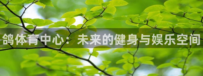 意昂体育4平台是正规平台吗知乎：鸽体育中心：未来的健