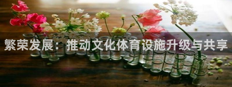海南意昂体育4：繁荣发展：推动文化体育设施升级与共享