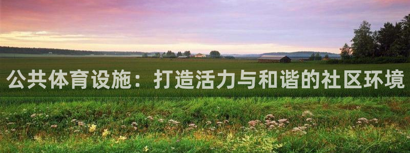 意昂4五金厂：公共体育设施：打造活力与和谐的社区环境