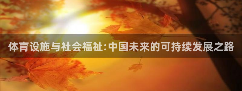 意昂4娱乐：体育设施与社会福祉:中国未来的可持续发展之路